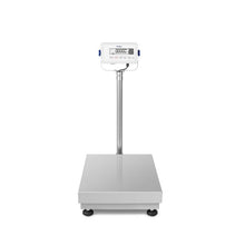 Laden Sie das Bild in den Galerie-Viewer, Puro Edelstahl-Plattformwaage mit Stativ, Plattform 650 x 500mm